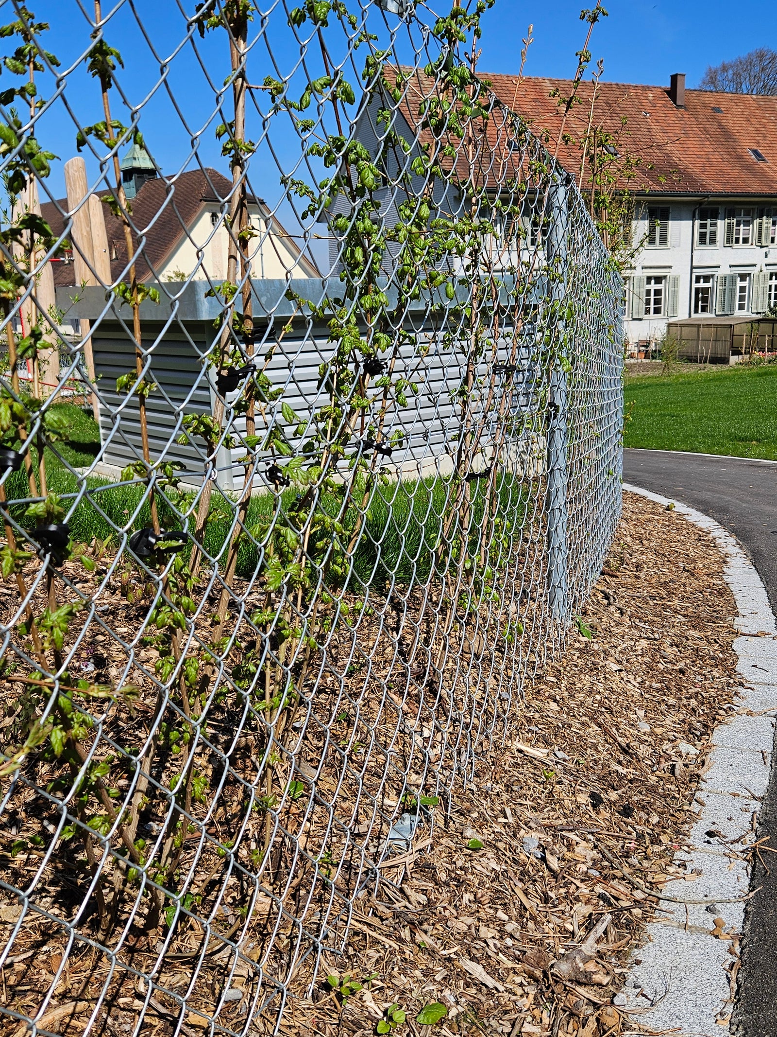 Innovative Lösungen im Zaunbau: Der Vorteil von professionellem Zaunmaterial