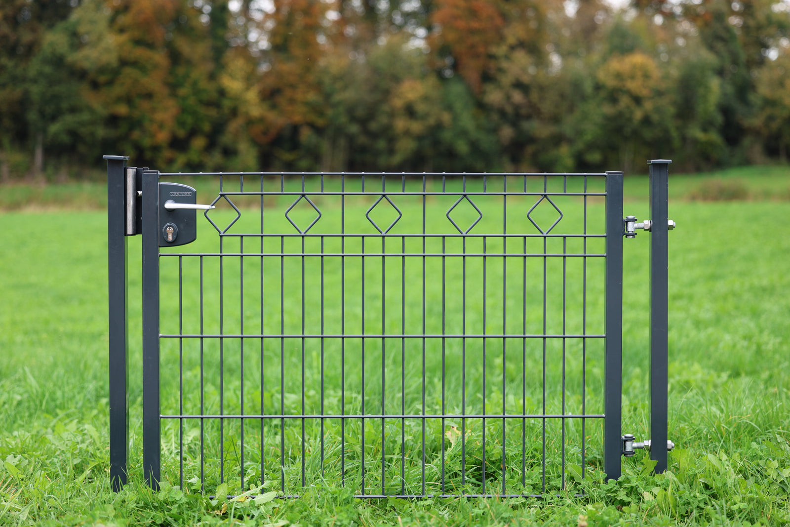 Mettaltor Höhe 100 cm, breite 100 cm mit füllung Doppelstabmatte oben mit ornament muster anthrazit inkl. 2 Torpfosten und schloss mit anschlag