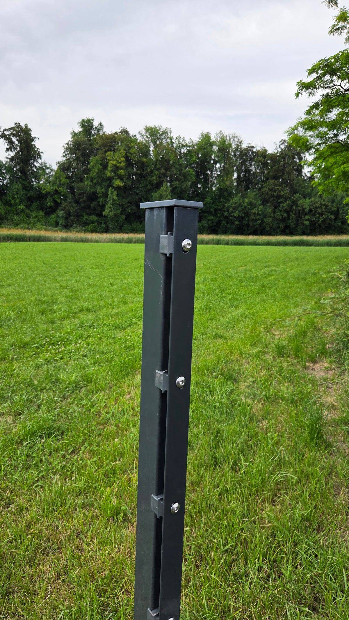 Doppelstabmatten Pfosten mit Abdeckleiste